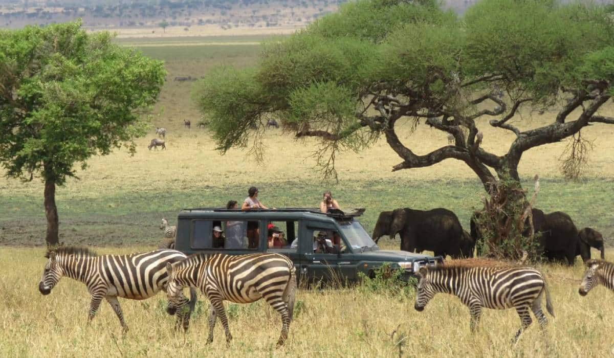 Katsunga-Plains-in-Katavi-Nationa-Park-Easy-Travel-Tanzania