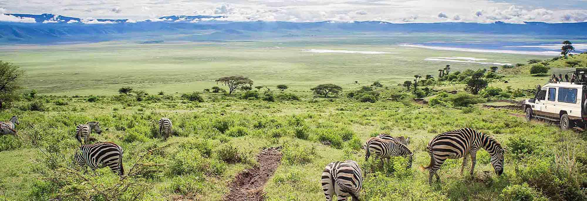 Ngorongoro-Crater-Tanzania-Zebras