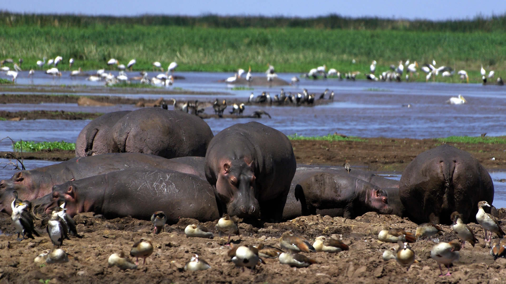 lake-manyara-national-park-1