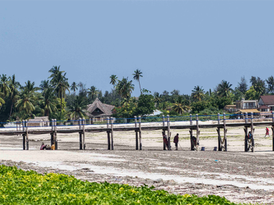 pongwe beach pongwe beach